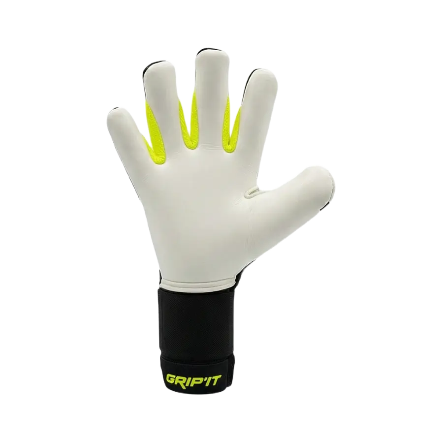 Sentinel Neon – 2