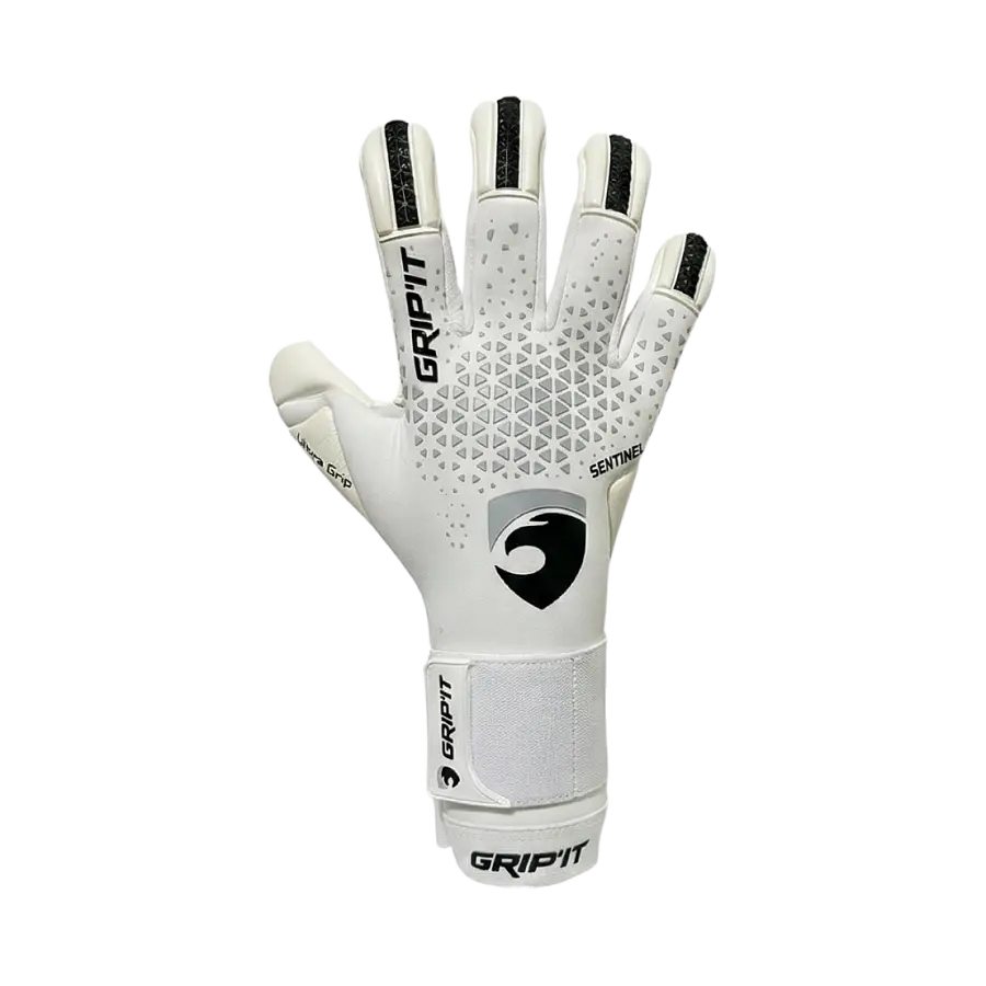 Sentinel – Origin — S10